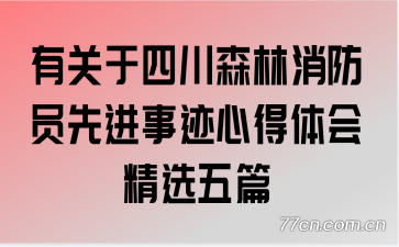 有关于四川森林消防员先进事迹心得体会精选五篇