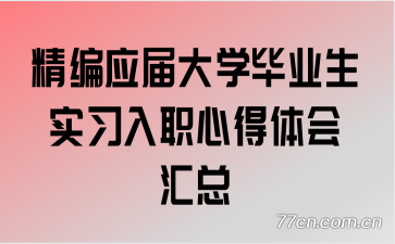 ����Ӧ���ѧ��ҵ��ʵϰ��ְ�ĵ�������