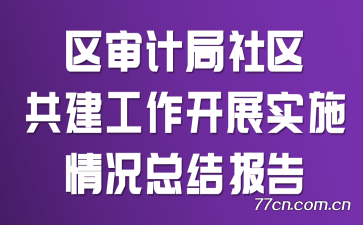 ƾչʵʩܽᱨ