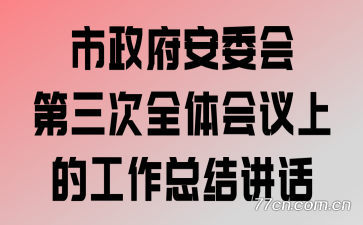 市政府安委会第三次全体会议上的工作总结讲话