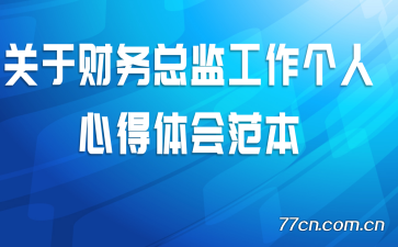 关于财务总监工作个人心得体会范本
