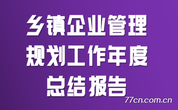 ҵ滮ܽᱨ