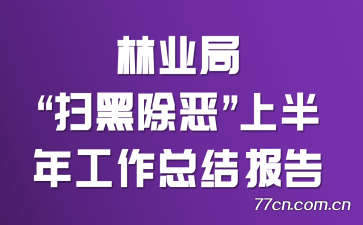 ҵ֡ɨڳϰ깤ܽᱨ
