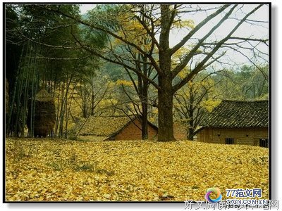 《轻如鸿毛 第一季》影评精选10篇