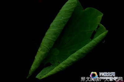 《沸点》观后感10篇