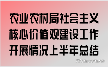 农业农村局社会主义核心价值观建设工作开展情况上半年总结