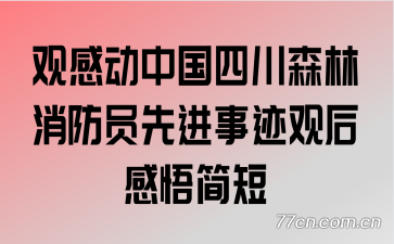 �۸ж��й��Ĵ�ɭ������Ա�Ƚ��¼��ۺ������