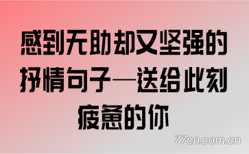 �е�����ȴ�ּ�ǿ��������ӡ��͸��˿�ƣ������