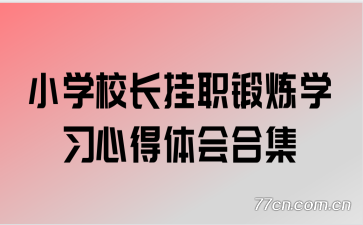 小学校长挂职锻炼学习心得体会合集