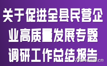 关于促进全县民营企业高质量发展专题调研工作总结报告