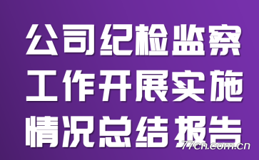 公司纪检监察工作开展实施情况总结报告
