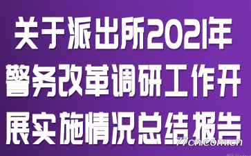 �����ɳ���2021�꾯��ĸ���й�����չʵʩ����ܽᱨ��