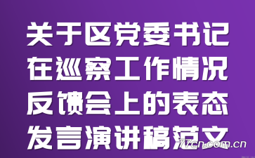关于区党委书记在巡察工作情况反馈会上的表态发言演讲稿范文