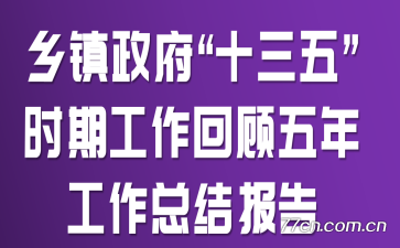 乡镇政府“十三五”时期工作回顾五年工作总结报告