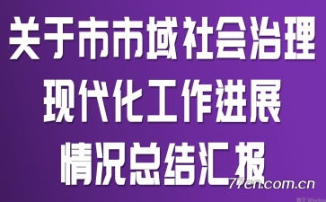 关于市市域社会治理现代化工作进展情况总结汇报