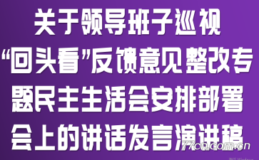 �����쵼����Ѳ�ӡ���ͷ���������������ר����������ᰲ�Ų�����ϵĽ��������ݽ���