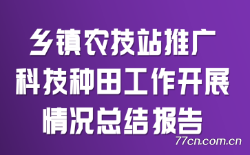 ����ũ��վ�ƹ�Ƽ����﹤����չ����ܽᱨ��