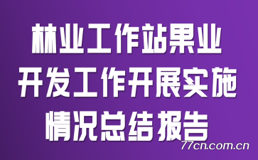 ҵվҵչʵʩܽᱨ