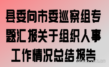 县委向市委巡察组专题汇报关于组织人事工作情况总结报告