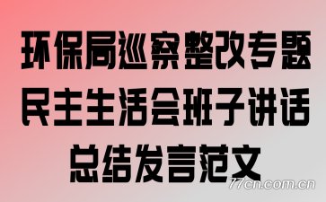 环保局巡察整改专题民主生活会班子讲话总结发言范文