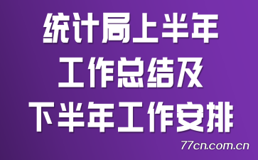 统计局上半年工作总结及下半年工作安排