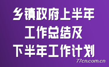 乡镇政府上半年工作总结及下半年工作计划
