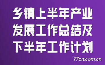 �����ϰ����ҵ��չ�����ܽἰ�°��깤���ƻ�