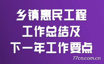 乡镇惠民工程工作总结及下一年工作要点