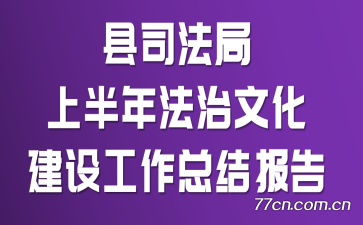 ��˾�����ϰ��귨���Ļ����蹤���ܽᱨ��