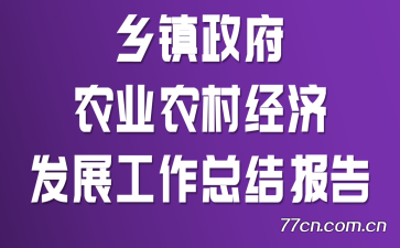 乡镇政府农业农村经济发展工作总结报告