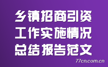 �����������ʹ���ʵʩ����ܽᱨ�淶��