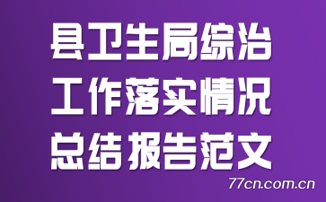 县卫生局综治工作落实情况总结报告范文