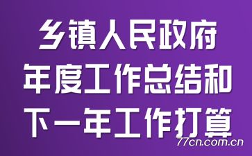 乡镇人民政府年度工作总结和下一年工作打算