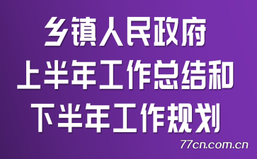 乡镇人民政府上半年工作总结和下半年工作规划