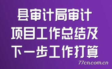 县审计局审计项目工作总结及下一步工作打算
