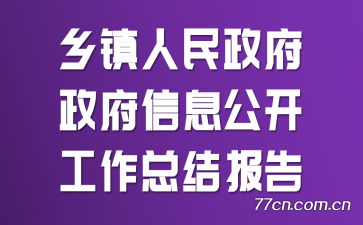 乡镇人民政府政府信息公开工作总结报告