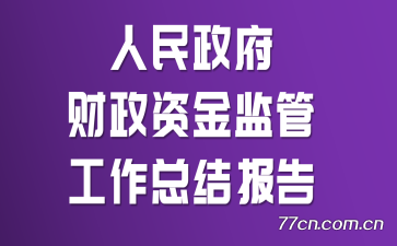 人民政府财政资金监管工作总结报告