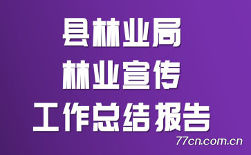 ����ҵ����ҵ���������ܽᱨ��