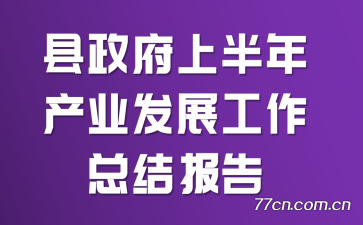 县政府上半年产业发展工作总结报告