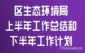 区生态环境局上半年工作总结和下半年工作计划