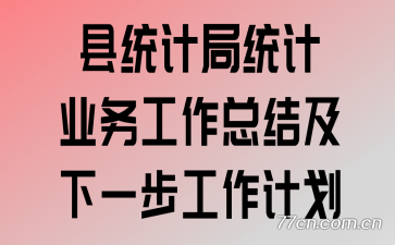 ��ͳ�ƾ�ͳ��ҵ�����ܽἰ��һ�������ƻ�