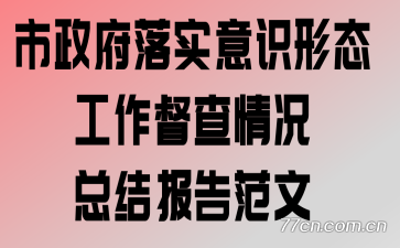 市政府落实意识形态工作督查情况总结报告范文