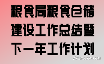 粮食局粮食仓储建设工作总结暨下一年工作计划