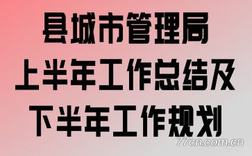 县城市管理局上半年工作总结及下半年工作规划