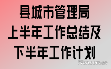 县城市管理局上半年工作总结及下半年工作计划