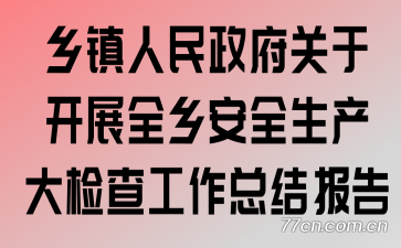 乡镇人民政府关于开展全乡安全生产大检查工作总结报告