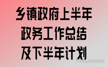 乡镇政府上半年政务工作总结及下半年计划