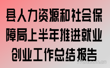 县人力资源和社会保障局上半年推进就业创业工作总结报告