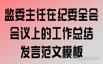 监委主任在纪委全会会议上的工作总结发言范文模板