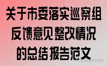 ������ί��ʵѲ���鷴���������������ܽᱨ�淶��